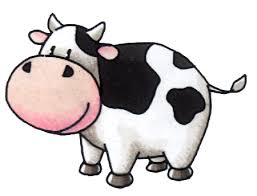 sapi ndut