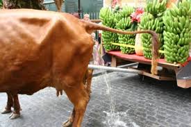orina contra agroquimicos