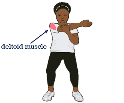 Sample Routine - 3 day No equipment Bodyweight: Intermediate Stretch_deltoid