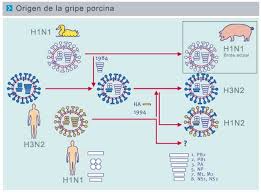 Ver imagen en tamaño completo