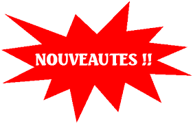 nouveautes Le sens pratique.