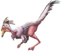 chicken saurus, pollosuauro