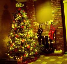 Да съхраним елхичката по-дълго