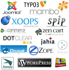 Content Management Systems