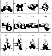 http://tbn1.google.com/images?q=tbn:6cZVRi55RXXWjM:http://img50.imageshack.us/img50/6572/dibujoxn5.png