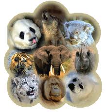 external image EndangeredAnimals.gif