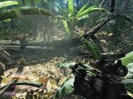 Crysis is one of the most ...