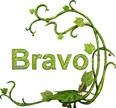 http://tbn1.google.com/images?q=tbn:98hJSYC4Kp8VpM:http://site.voila.fr/taliecreation/tagbravo/Animation1_bravo.gif