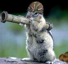 Solid Squirrel's Avatar - Comment posted on 10/16/2009 16:16