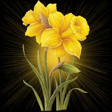 Jesus Yellow