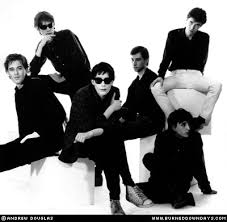 Foto di the furs - mog