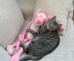 external image funny0089.jpg