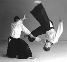 http://tbn1.google.com/images?q=tbn:Ah11vFOQWpN_oM:http://www.thetreehousemagazine.com/index/images/aikido.jpg