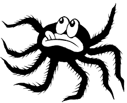 spide bot