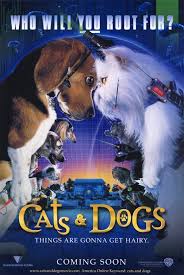 Cats & Dogs