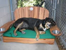 He is a wonderful dog who has played ...