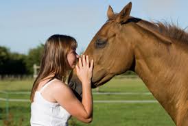 life horse girl Cewek Bule Ngentot Dengan Binatang