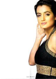 Bollywood Amisha Patel Celebrities