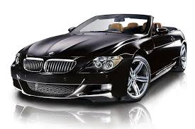 ������ ���� ����� 2010