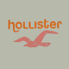 external image hollister.jpg
