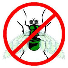 http://tbn1.google.com/images?q=tbn:GWpF8aHMd6uL_M:http://www.brothersoft.com/icon/command_anti_virus-24316.jpg