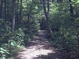http://tbn1.google.com/images?q=tbn:Hoy5nQaX__dfcM:http://www.st-donat.com/images/parc/sentier-1.jpg