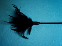 http://listverse.com/bizarre/top-10-bizarre-phobias/