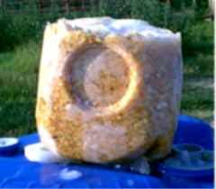 Pykrete