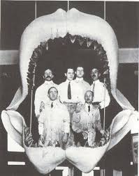 http://tbn1.google.com/images?q=tbn:Iu_ZHRWM5k8JMM:www.sharkfriends.com/sharks/images/paleo/paleojaws.jpg