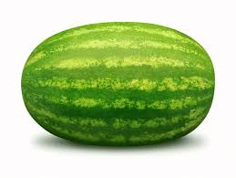 دروس الا نجليزية : الدورة الثانية 26436921.Watermelon