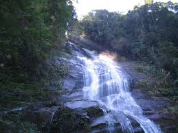 http://baixaki.ig.com.br/papel-de-parede/12086-rio-cachoeira-na-floresta-da-tijuca-rio-de-janeiro.htm