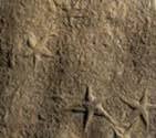geologiapredazzo2 Predazzo: Museo delle Dolomiti, geologia ma non solo.