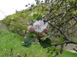 Заболяванията често започват от... мислите