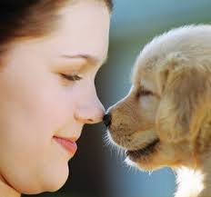 puppy health insurance