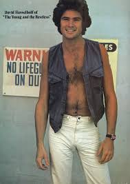  /hasselhoff/images/David 