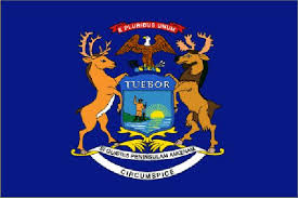 external image michigan_flag.jpg