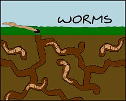 worms underground