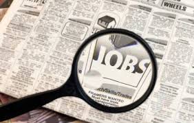 job search