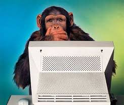 Geek-monkey