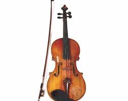 Viol?