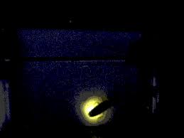 fireflies.gif