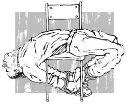 torture Americans Love to Torture   Official