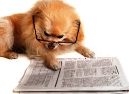 So how smart is your dog?