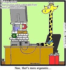 software