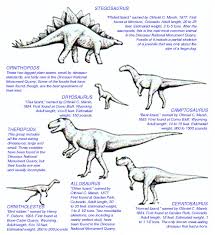 external image page5b.jpg