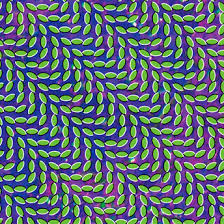 animal collective   merriweather post pavilion hudba