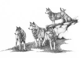 See full size image