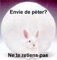 Afficher l'image en taille r&eacute;elle