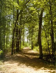 Green Infrastructure