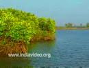 See full size image